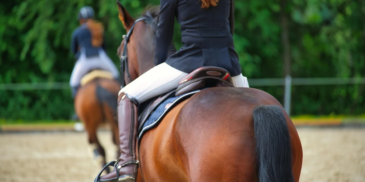 Lezione di equitazione in gruppo